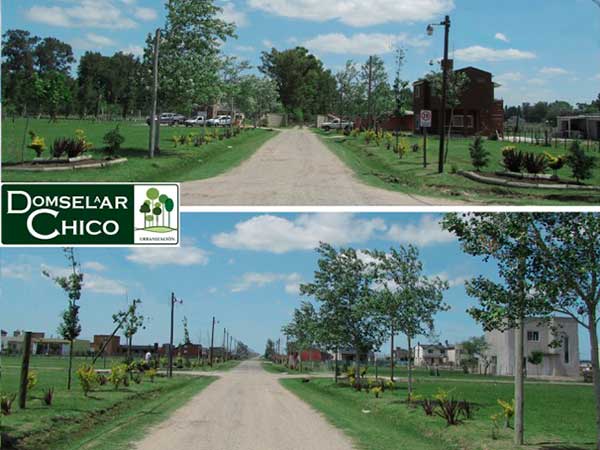 pb-a_domselaar-chico-01