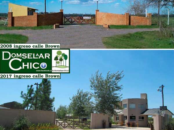 pb-a_domselaar-chico-02