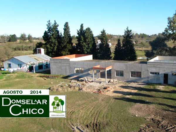 pb-a_domselaar-chico-03