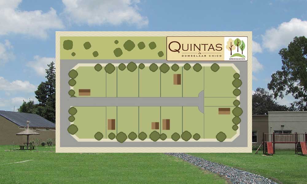 Quintas de Domselaar