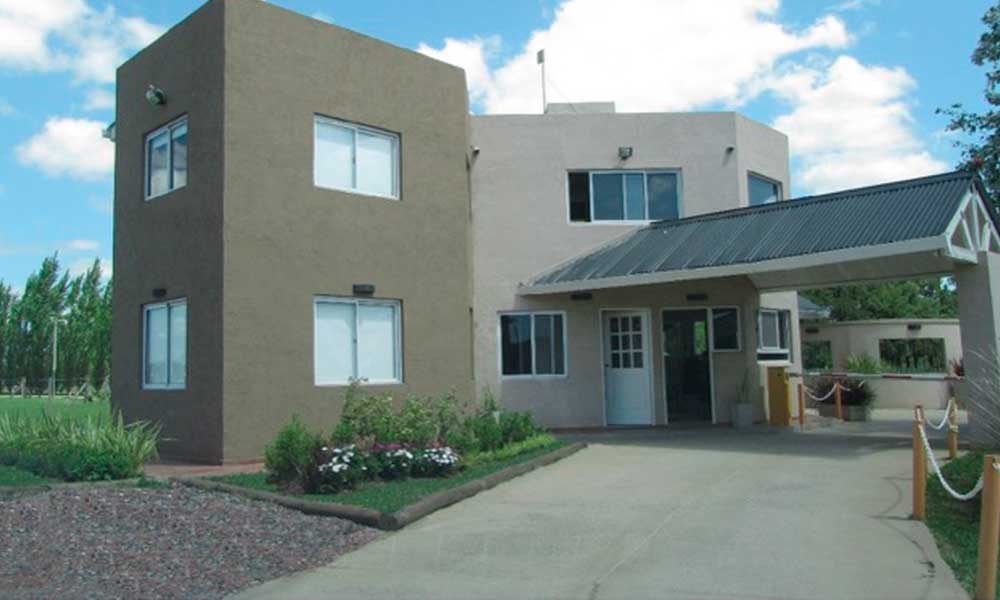 pb_domselaar-chico-01